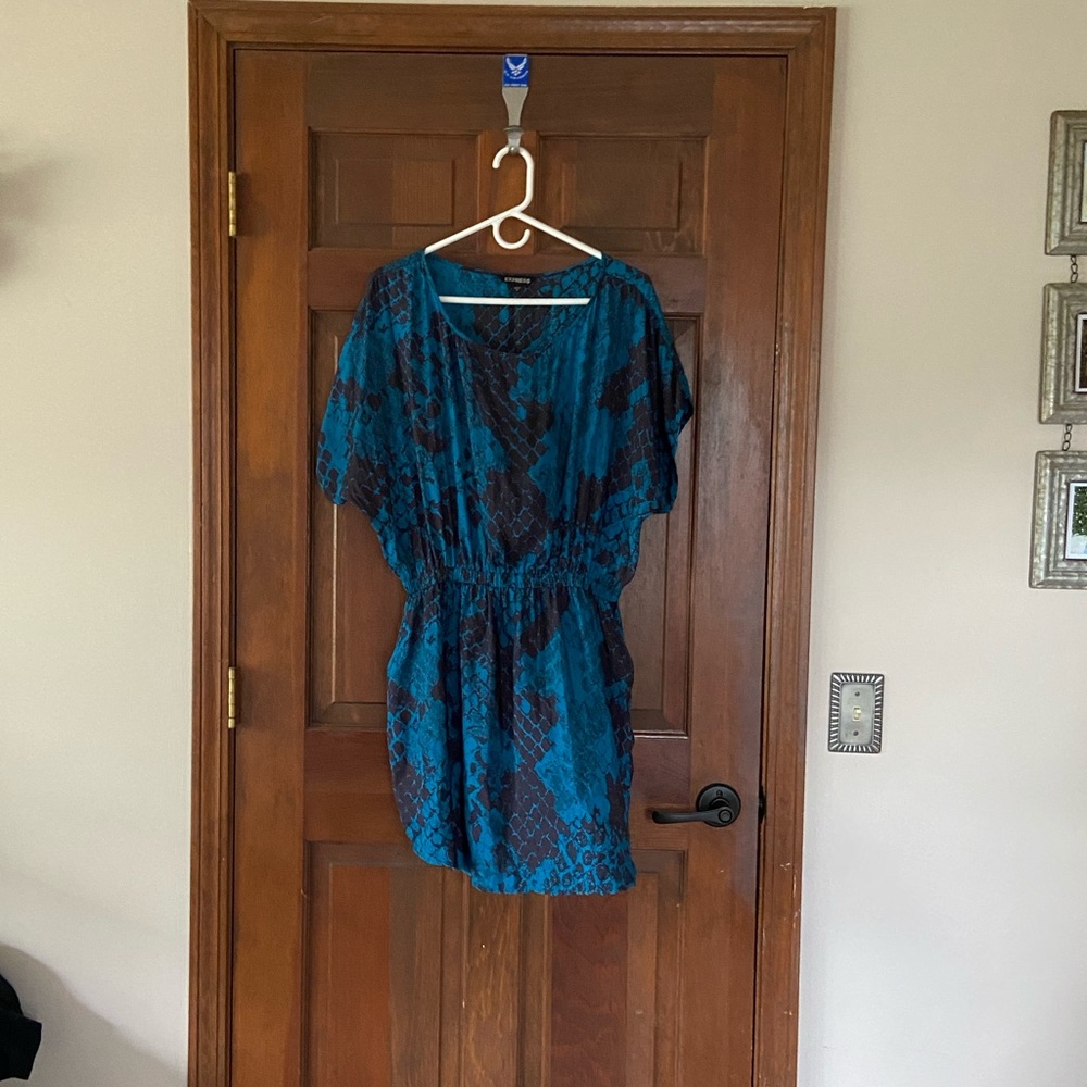 Blue Express Dress